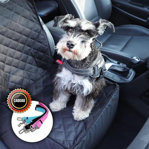 Panier Voiture/Protection de Siège Individuelle pour Animaux, Livrée avec une ceinture de sécurité pour chien GRATUITE !